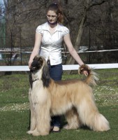 /album/dog-handler/adri-jpg/