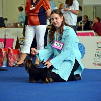 /album/dog-handler/a1079547-488567621232415-605047841-n-jpg/