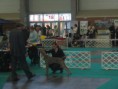 /album/fenykepgaleria/a407448-273786602689956-1835061675-n-jpg1/