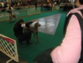 /album/fenykepgaleria/a425899-273783256023624-1576888820-n-jpg1/
