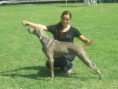 /album/fenykepgaleria/a418869-371172749618007-1079286530-n-jpg/