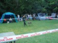 /album/fenykepgaleria/a553817-371172349618047-242556705-n-jpg/