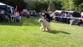 /album/fenykepgaleria/a292319-480509765364921-1849428943-n-jpg/
